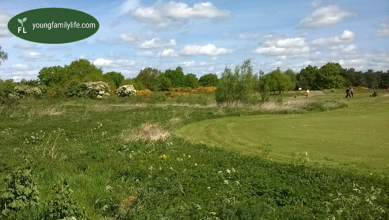 Outney Common heathland and golf course, Bungay, with the Hards' scrub and gorse in the foreground