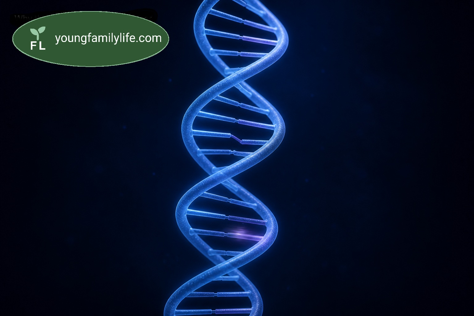 Illustration of a DNA double helix with one hydrogen bond highlighted, showing a proton in a tunnelling position between two nucleotide bases.